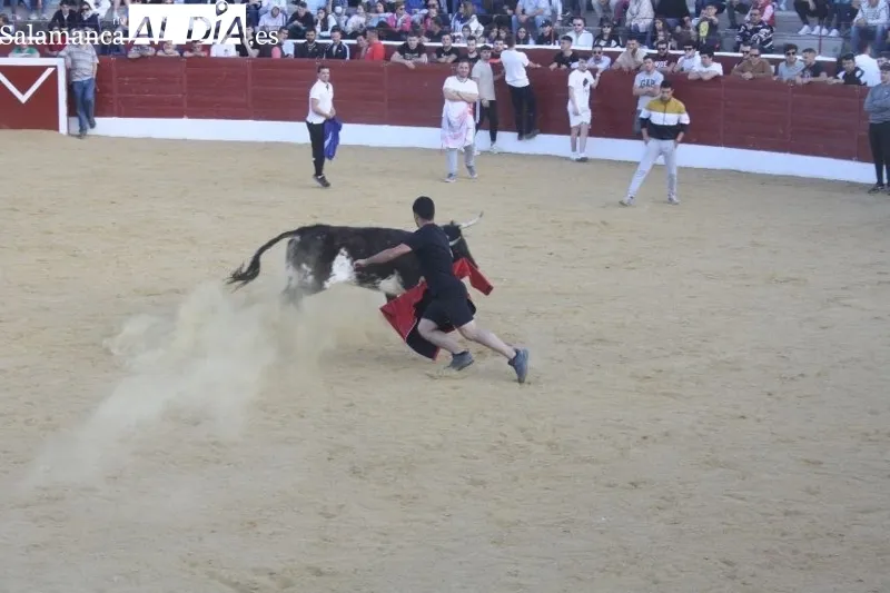 Foto 7 - Villoria, abarrotada para vivir el esperado Toro del Voto