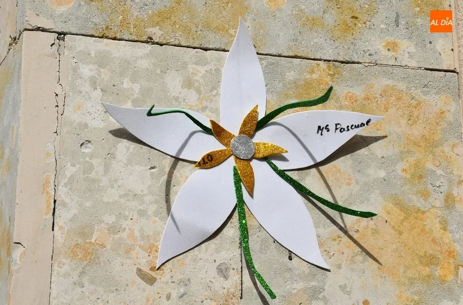 Foto 2 - Espantap&aacute;jaros, escaleras, aros, y por supuesto muchas flores, en el Concurso de Primavera 2023