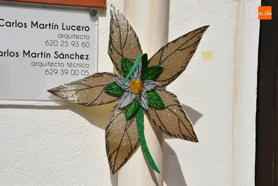 Foto 8 - Espantap&aacute;jaros, escaleras, aros, y por supuesto muchas flores, en el Concurso de Primavera 2023