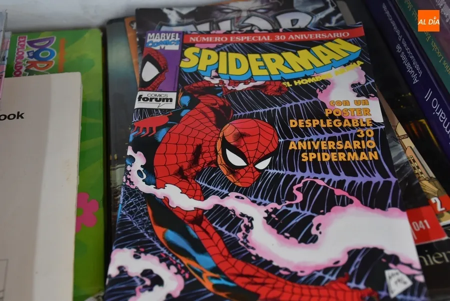 Foto 7 - Del Quijote a Spiderman en la pluriling&uuml;e Bibliocaseta de Ciudad Rodrigo