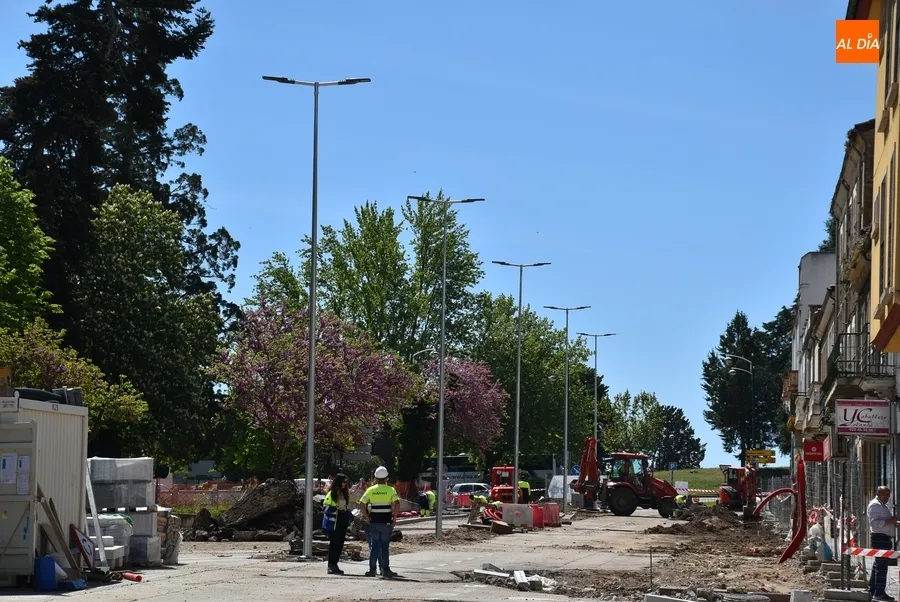 Foto 4 - Plantadas las palmeras del segundo tramo en obras de la Avenida de Espa&ntilde;a