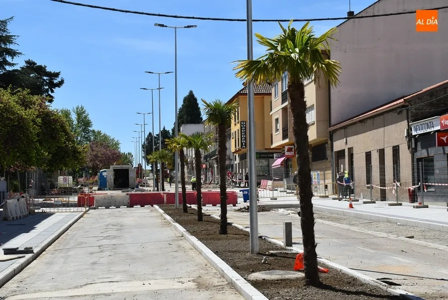 Foto 6 - Plantadas las palmeras del segundo tramo en obras de la Avenida de Espa&ntilde;a
