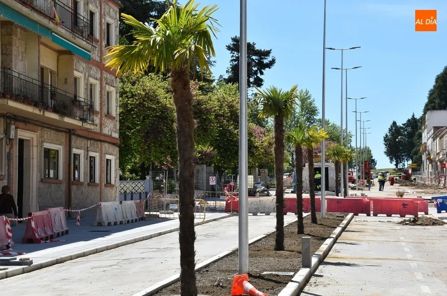 Foto 7 - Plantadas las palmeras del segundo tramo en obras de la Avenida de Espa&ntilde;a