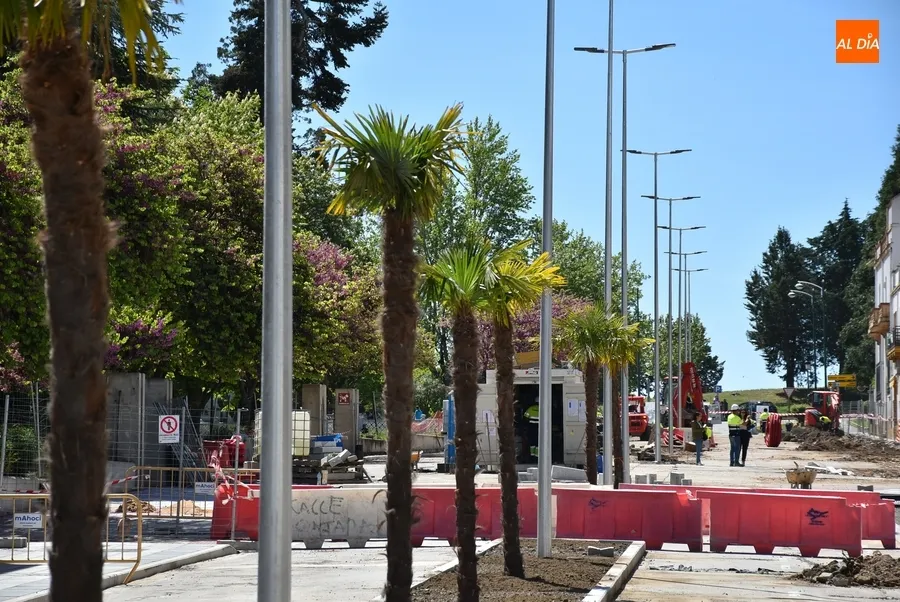 Foto 8 - Plantadas las palmeras del segundo tramo en obras de la Avenida de Espa&ntilde;a