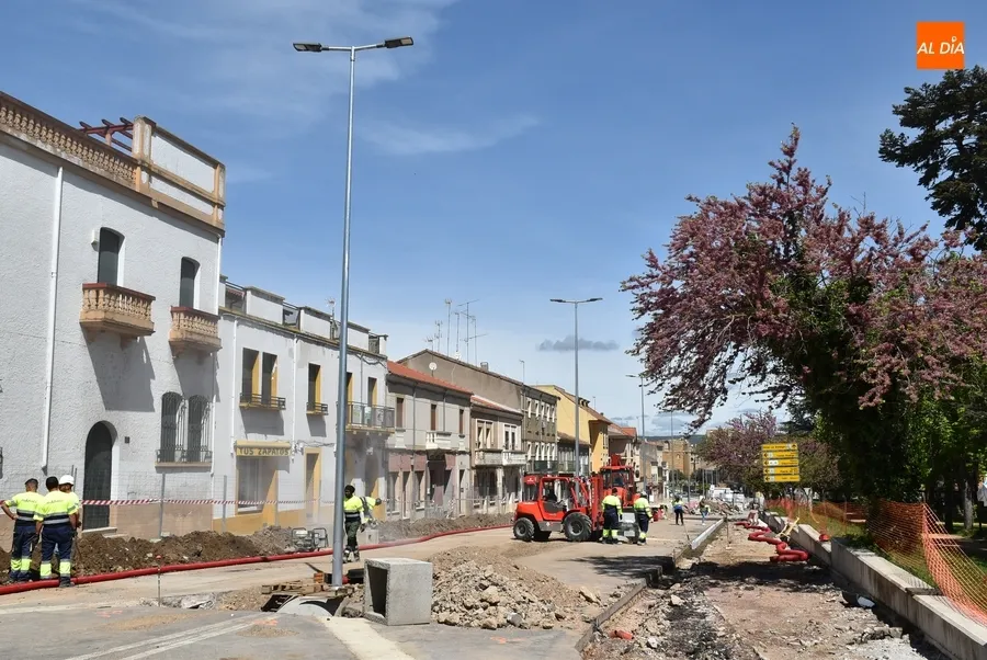 Foto 10 - Plantadas las palmeras del segundo tramo en obras de la Avenida de Espa&ntilde;a