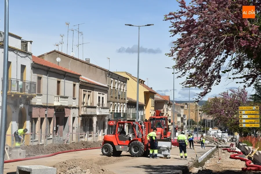 Foto 11 - Plantadas las palmeras del segundo tramo en obras de la Avenida de Espa&ntilde;a