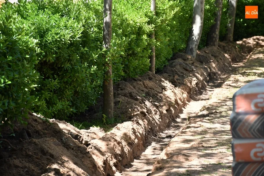 Foto 9 - Arranca la nueva fase de reforma del Parque de La Glorieta