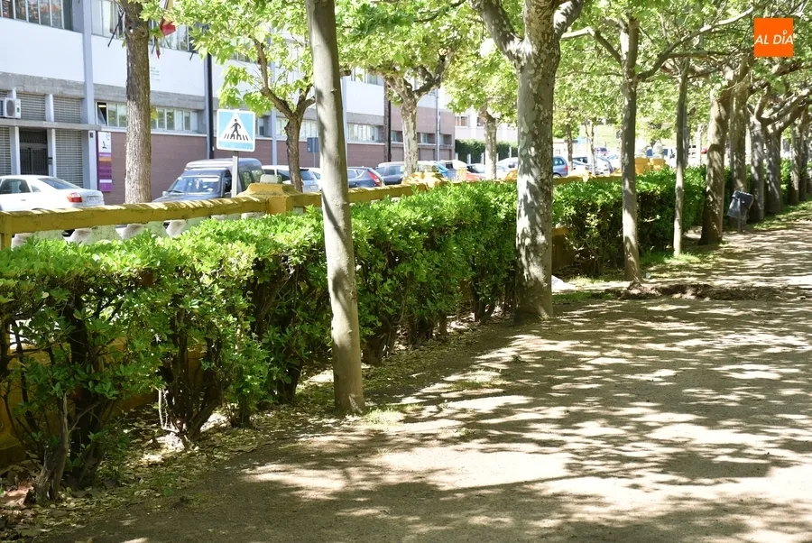 Foto 11 - Arranca la nueva fase de reforma del Parque de La Glorieta