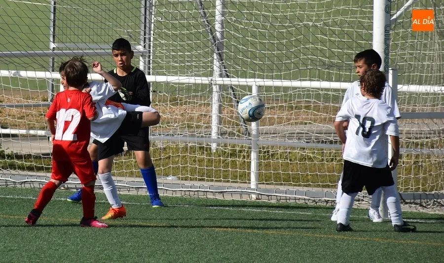 Foto 4 - El Prebenjam&iacute;n del Ciudad Rodrigo rompe en el tramo final el duelo adelantado frente al Hergar B