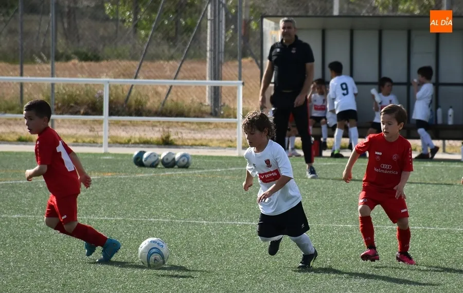 Foto 5 - El Prebenjam&iacute;n del Ciudad Rodrigo rompe en el tramo final el duelo adelantado frente al Hergar B