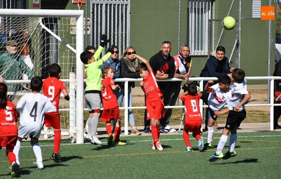 Foto 3 - El Prebenjam&iacute;n del Ciudad Rodrigo inicia el &uacute;ltimo bloque liguero superando al Santa Marta B