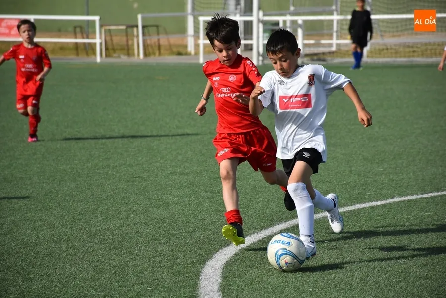 Foto 8 - El Prebenjam&iacute;n del Ciudad Rodrigo rompe en el tramo final el duelo adelantado frente al Hergar B