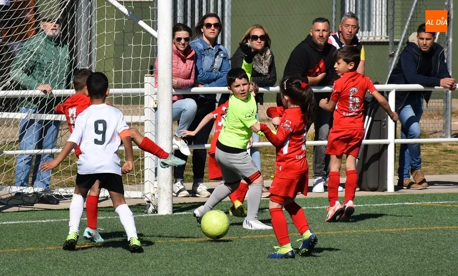 Foto 6 - El Prebenjam&iacute;n del Ciudad Rodrigo inicia el &uacute;ltimo bloque liguero superando al Santa Marta B