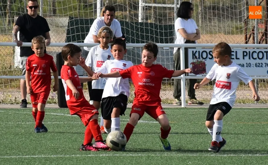 Foto 11 - El Prebenjam&iacute;n del Ciudad Rodrigo rompe en el tramo final el duelo adelantado frente al Hergar B