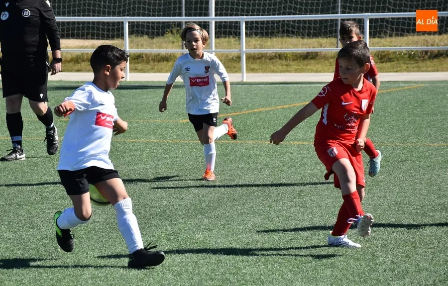 Foto 10 - El Prebenjam&iacute;n del Ciudad Rodrigo inicia el &uacute;ltimo bloque liguero superando al Santa Marta B