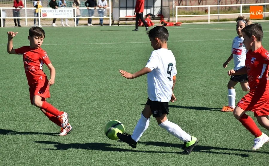 Foto 11 - El Prebenjam&iacute;n del Ciudad Rodrigo inicia el &uacute;ltimo bloque liguero superando al Santa Marta B