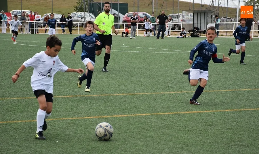 Foto 2 - El Benjam&iacute;n B del Ciudad Rodrigo canta el alir&oacute;n liguero tras una espl&eacute;ndida temporada