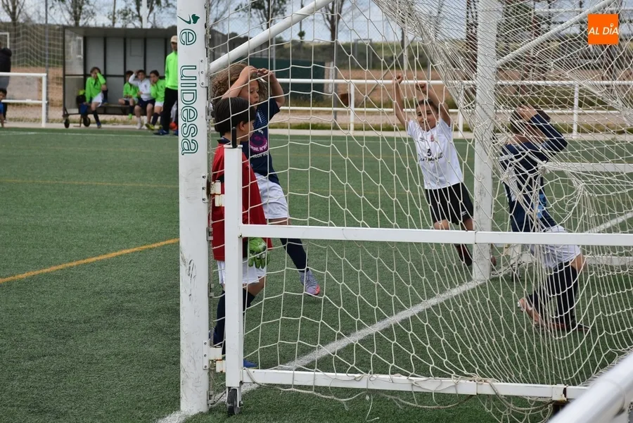 Foto 5 - El Benjam&iacute;n B del Ciudad Rodrigo canta el alir&oacute;n liguero tras una espl&eacute;ndida temporada