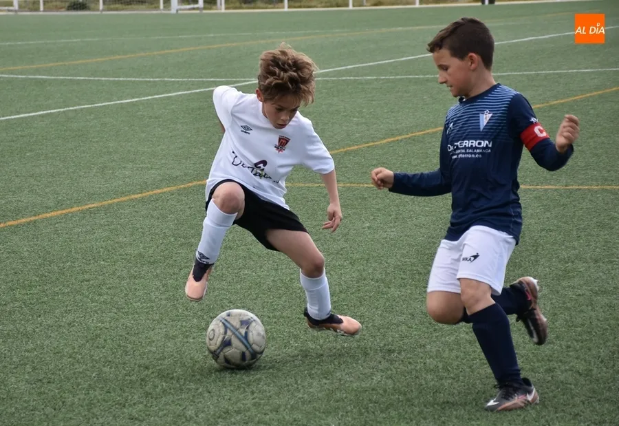 Foto 10 - El Benjam&iacute;n B del Ciudad Rodrigo canta el alir&oacute;n liguero tras una espl&eacute;ndida temporada