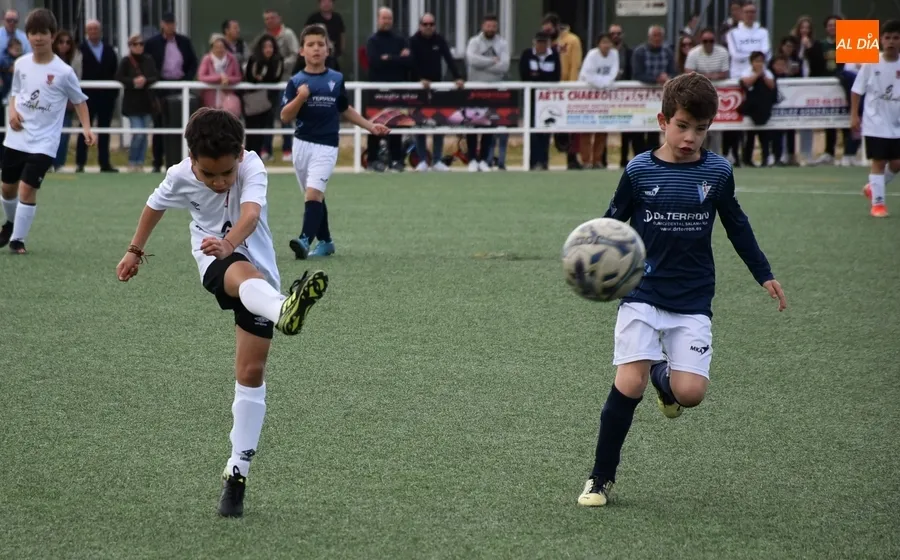 Foto 11 - El Benjam&iacute;n B del Ciudad Rodrigo canta el alir&oacute;n liguero tras una espl&eacute;ndida temporada