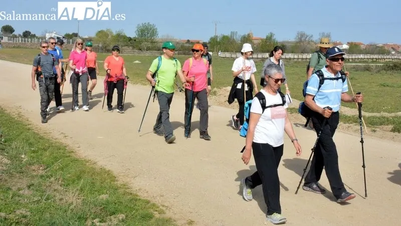 Foto 8 - Los senderistas disfrutan de la naturaleza y el patrimonio en la ruta 'Por los molinos del Camaces'