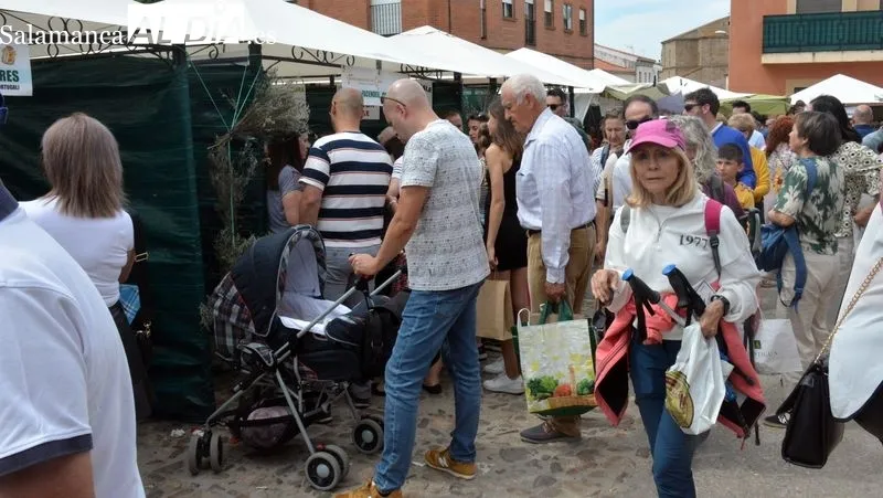 Foto 3 - Nuevo &eacute;xito de la Feria Internacional del Queso de Hinojosa de Duero con r&eacute;cord de ventas y de visitantes