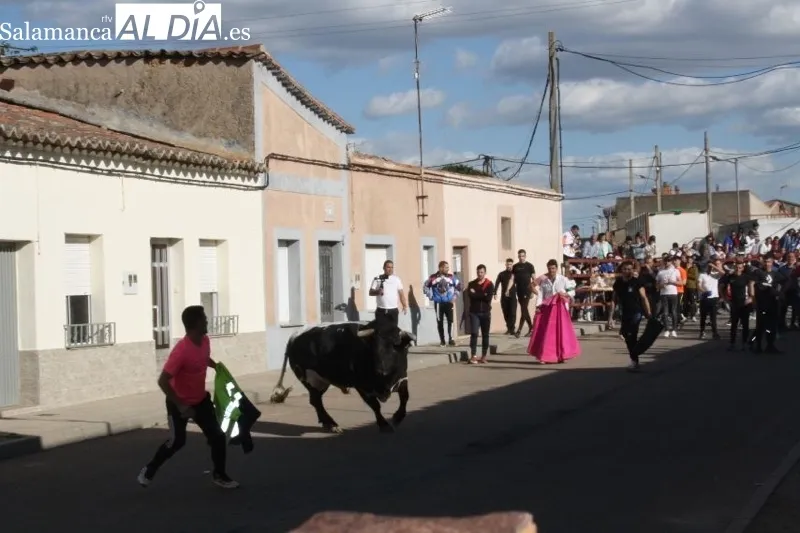 Foto 17 - Villoria, abarrotada para vivir el esperado Toro del Voto