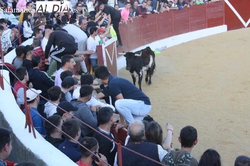 Foto 3 - Villoria, abarrotada para vivir el esperado Toro del Voto