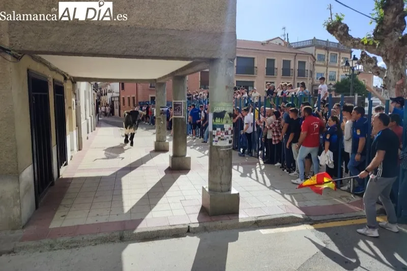 Cantalapiedra celebraba este sábado su I Toro de la Misericordia
