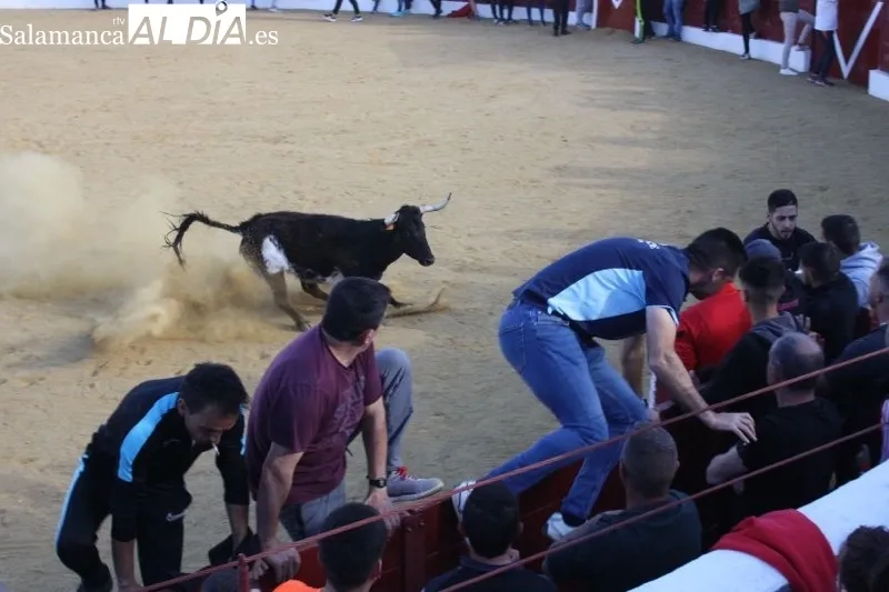 Foto 5 - Villoria, abarrotada para vivir el esperado Toro del Voto