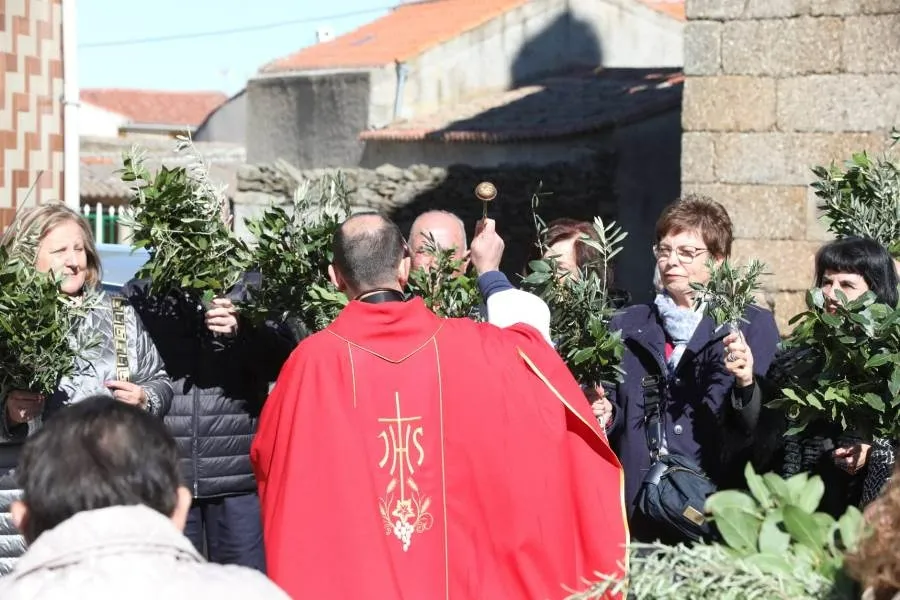 Foto 6 - La Alameda de Gard&oacute;n conmemora el Domingo de Ramos con bendici&oacute;n incluida del laurel