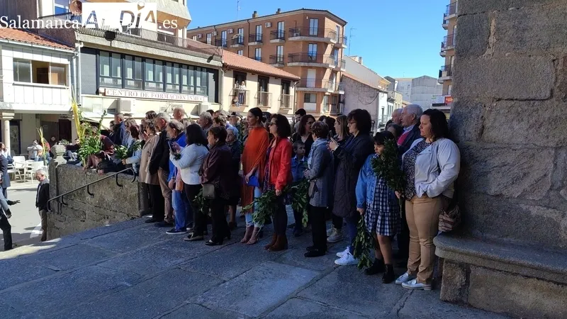 Procesión de 'la borriquilla' en Vitigudino / CORRAL
