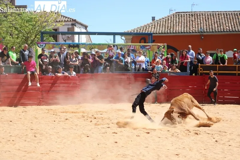 Triunfo de Álvaro Briones en Yecla de Yeltes tras cortar el rabo a un buen añojo de Eduardo Martín Cilleros / CORRAL 