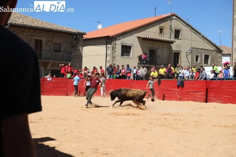 Triunfo de Álvaro Briones en Yecla de Yeltes tras cortar el rabo a un buen añojo de Eduardo Martín Cilleros / CORRAL 