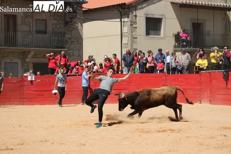 Triunfo de Álvaro Briones en Yecla de Yeltes tras cortar el rabo a un buen añojo de Eduardo Martín Cilleros / CORRAL 