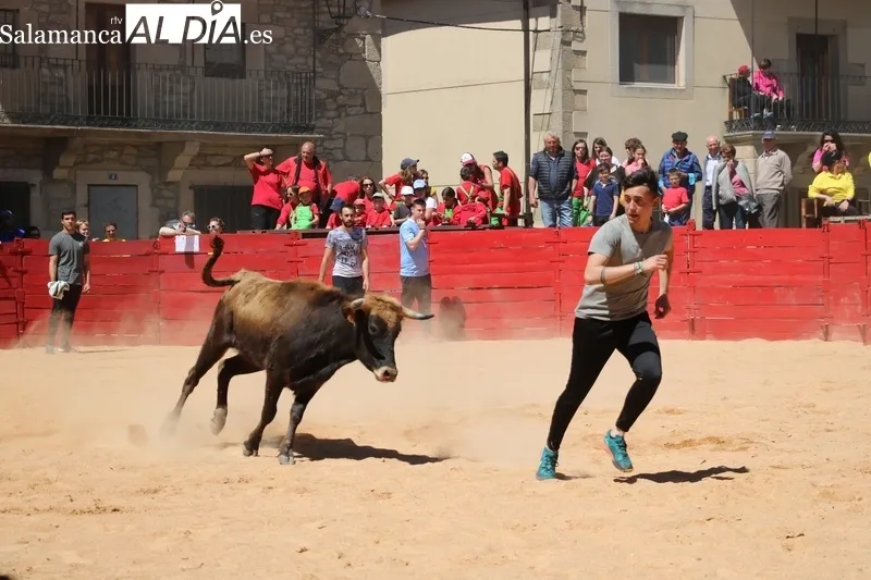 Triunfo de Álvaro Briones en Yecla de Yeltes tras cortar el rabo a un buen añojo de Eduardo Martín Cilleros / CORRAL 
