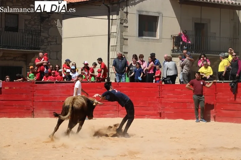 Triunfo de Álvaro Briones en Yecla de Yeltes tras cortar el rabo a un buen añojo de Eduardo Martín Cilleros / CORRAL 