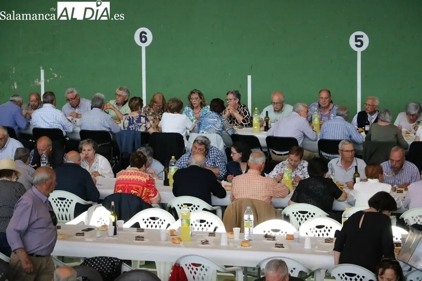Comida en el pabellón municipal de deportes de Villavieja / CORRAL