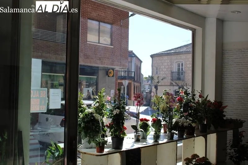Foto 6 - Manos Unidas de Alba de Tormes comienza la venta de plantas