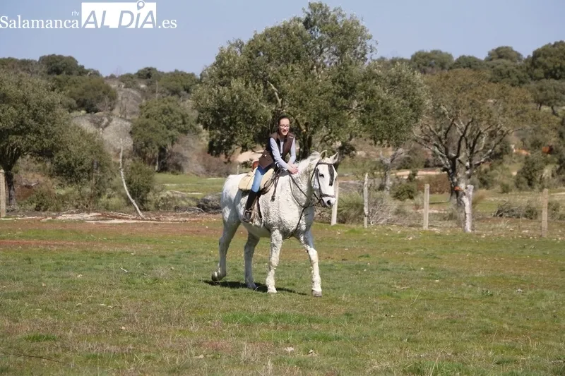 En Rollanejo convive la ganadería brava, el vacuno de carne, cerdos ibéricos e infraestructuras de alojamiento rural y un corredero de acoso y derribo  