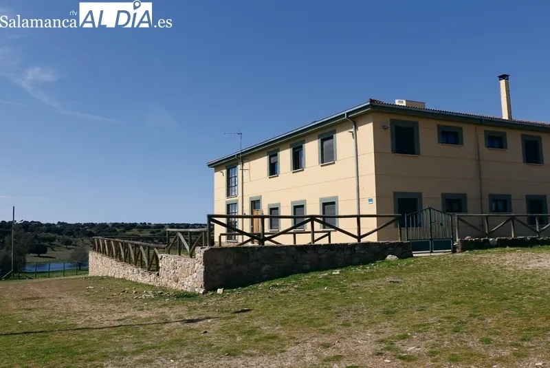 En Rollanejo convive la ganadería brava, el vacuno de carne, cerdos ibéricos e infraestructuras de alojamiento rural y un corredero de acoso y derribo  