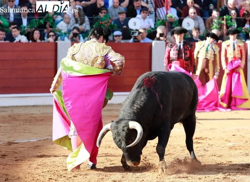 Foto 2 - Morante, De Justo y Diosleguarde en volandas en una tarde de buen toreo y emociones en Guijuelo