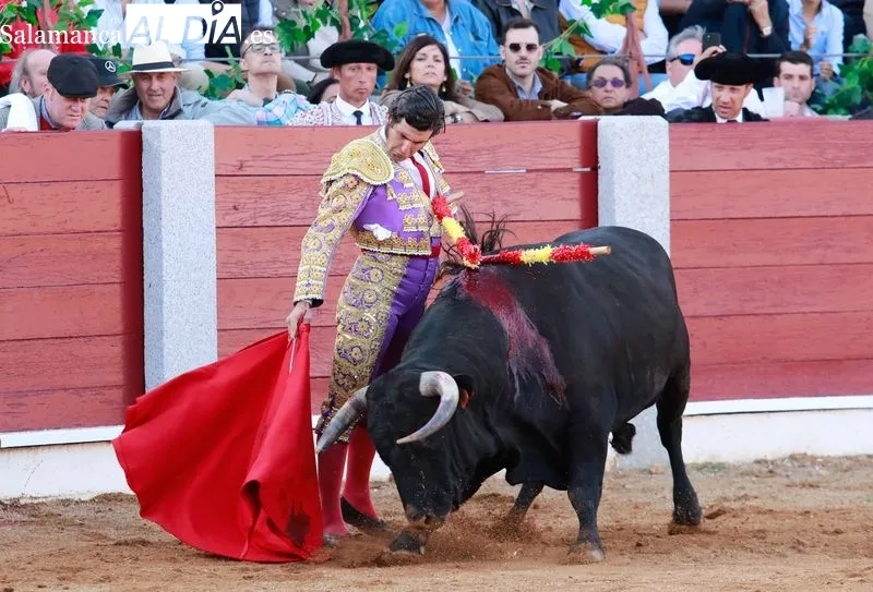 Foto 3 - Morante, De Justo y Diosleguarde en volandas en una tarde de buen toreo y emociones en Guijuelo