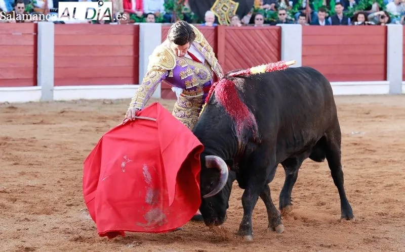 Foto 4 - Morante, De Justo y Diosleguarde en volandas en una tarde de buen toreo y emociones en Guijuelo