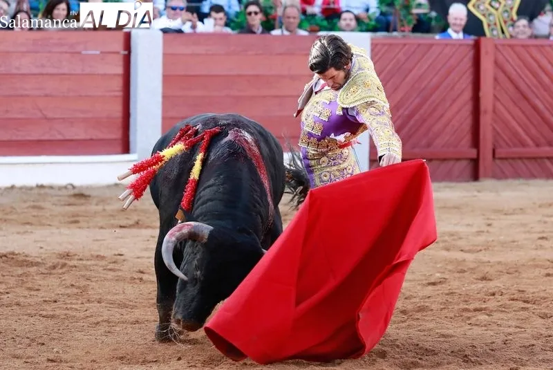 Foto 6 - Morante, De Justo y Diosleguarde en volandas en una tarde de buen toreo y emociones en Guijuelo
