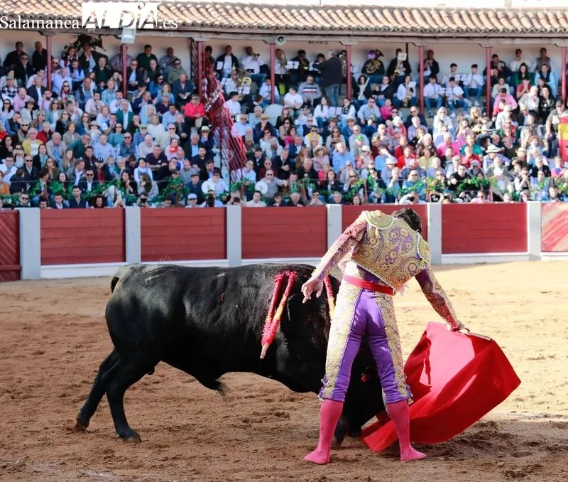 Foto 7 - Morante, De Justo y Diosleguarde en volandas en una tarde de buen toreo y emociones en Guijuelo