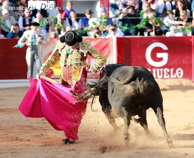 Foto 8 - Morante, De Justo y Diosleguarde en volandas en una tarde de buen toreo y emociones en Guijuelo