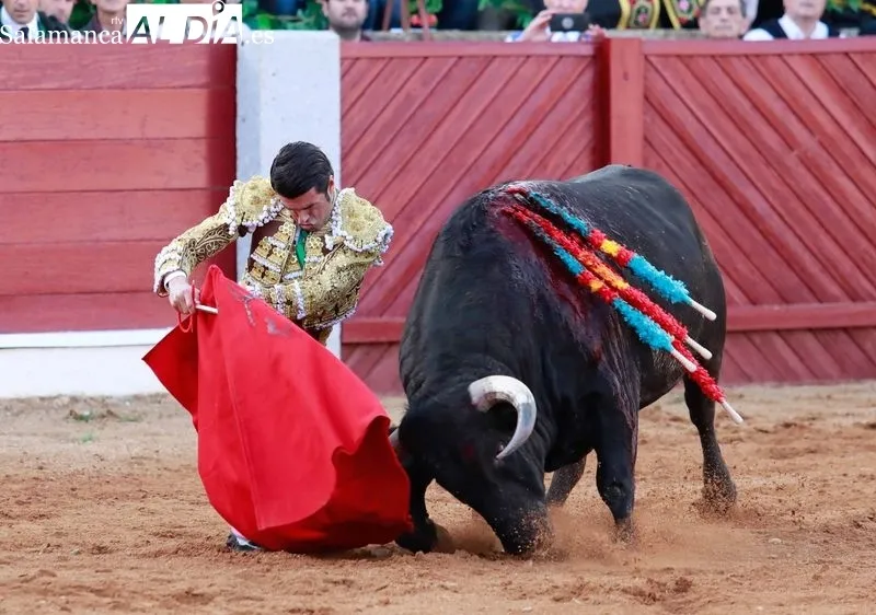 Foto 9 - Morante, De Justo y Diosleguarde en volandas en una tarde de buen toreo y emociones en Guijuelo