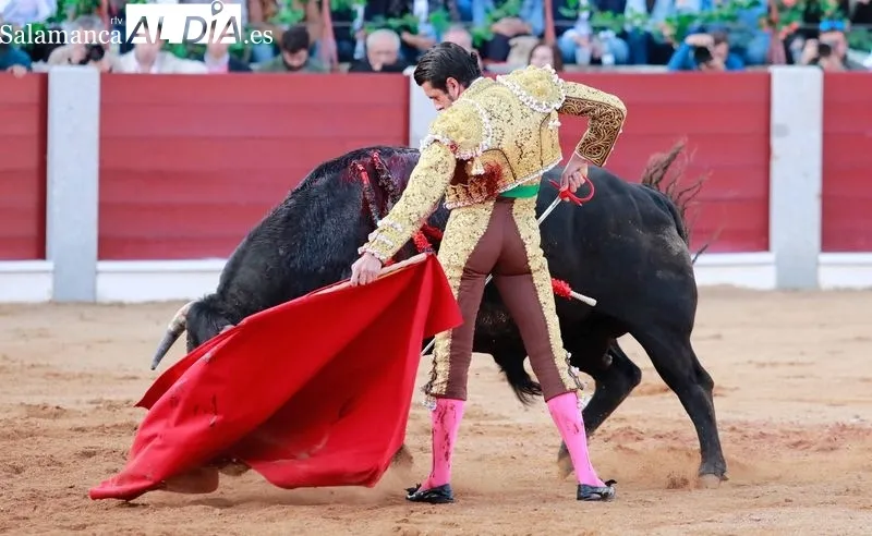 Foto 10 - Morante, De Justo y Diosleguarde en volandas en una tarde de buen toreo y emociones en Guijuelo