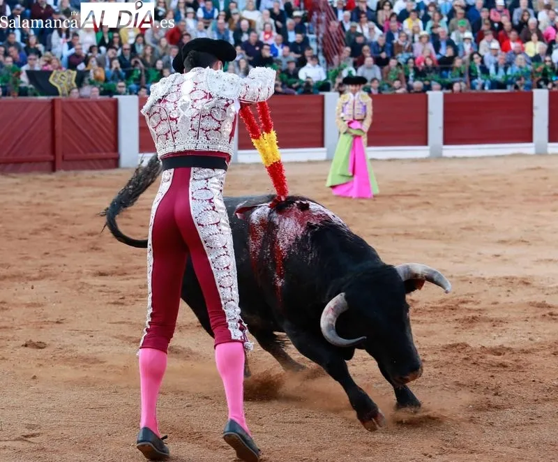 Foto 13 - Morante, De Justo y Diosleguarde en volandas en una tarde de buen toreo y emociones en Guijuelo